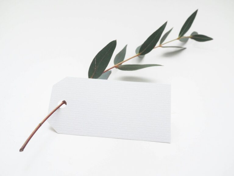hoja verde con tarjeta blanca